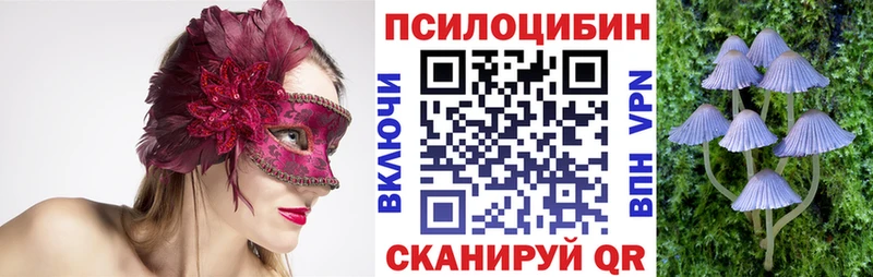 Купить Уварово Псилоцибиновые грибы Cubensis